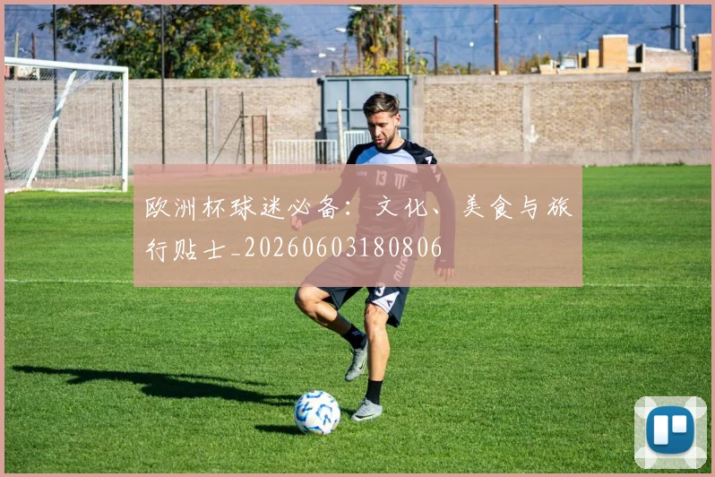 欧洲杯球迷必备：文化、美食与旅行贴士_20260603180806